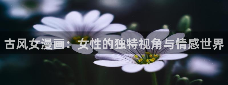 禁漫天堂2网址