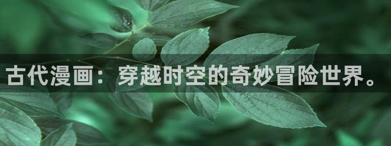 禁漫天堂www