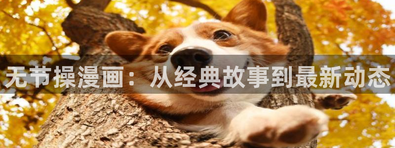 禁漫之家入口