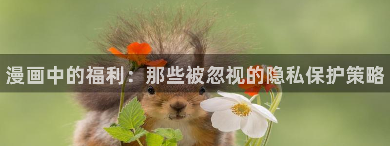 禁漫天堂小说：漫画中的福利：那些被忽视的隐私保护策略