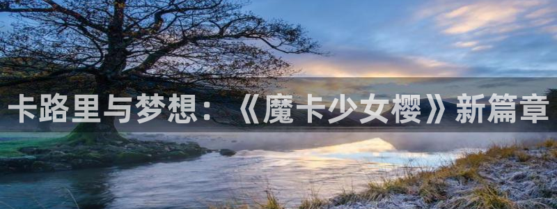 禁漫天堂一：卡路里与梦想：《魔卡少女樱》新篇章