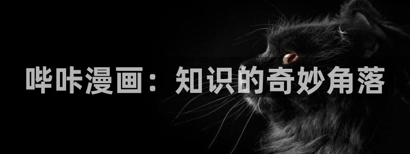 禁漫天堂官方入口网