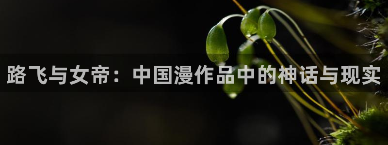 禁漫天堂在线观看网址