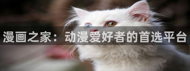禁漫天堂官网版