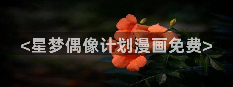 韩漫禁漫天堂