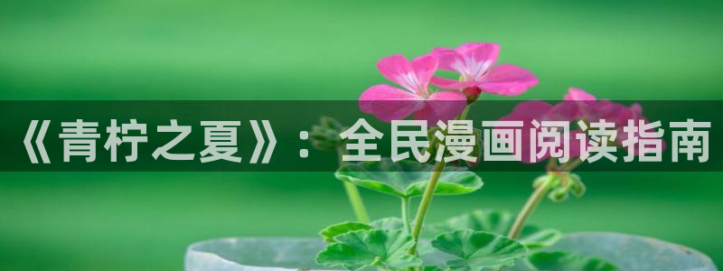 禁漫天堂黄动漫在线观看