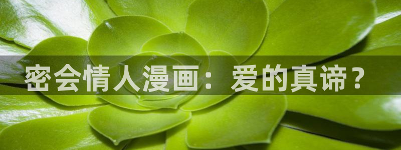 禁漫天堂,免费版