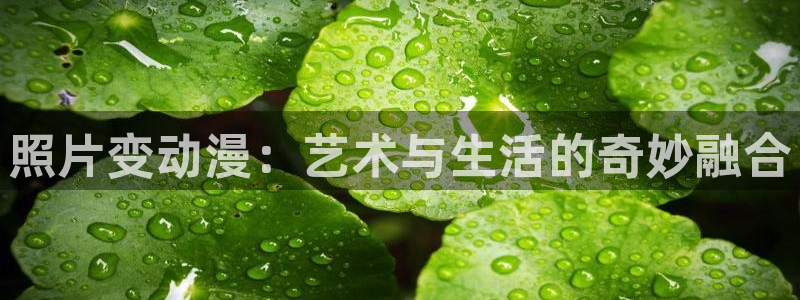 禁漫天堂是病毒吗?