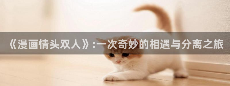 禁漫天堂网站下载入口