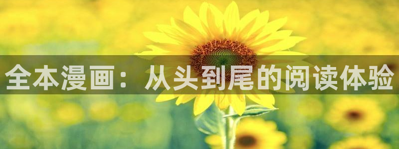 禁漫画天堂