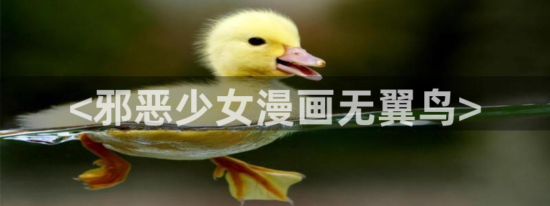 禁漫天堂软件免费
