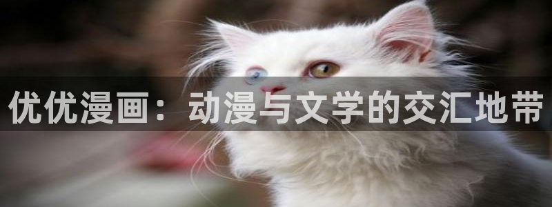 禁漫天堂j