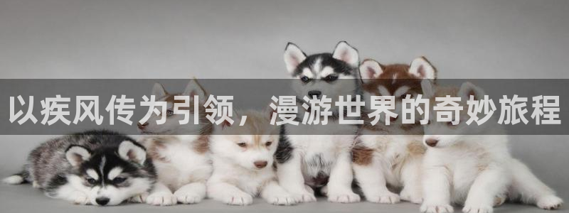 禁漫天堂网址是什么
